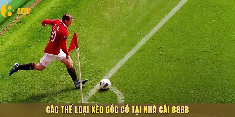 Các loại kèo góc là gì nổi bật nhất hiện nay